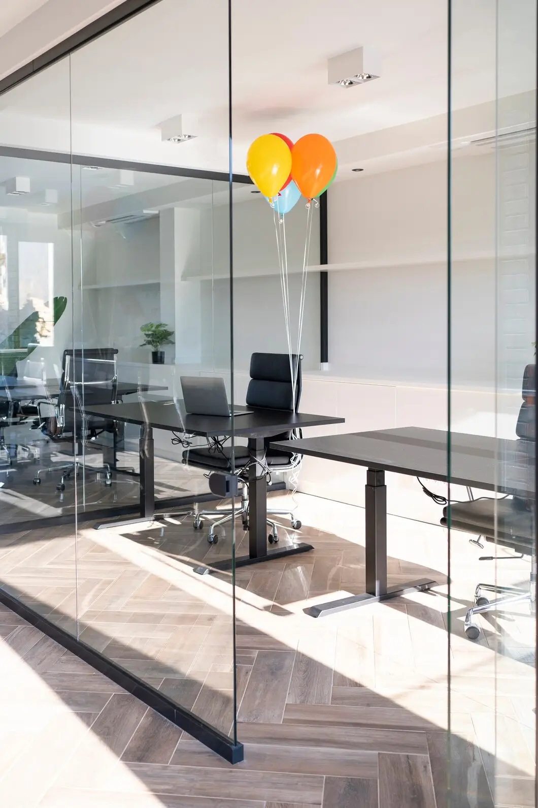 glass office walls